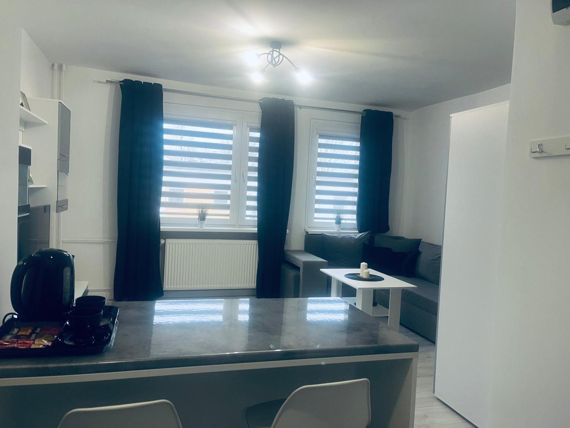 Silver Apartament Katowice Kültér fotó