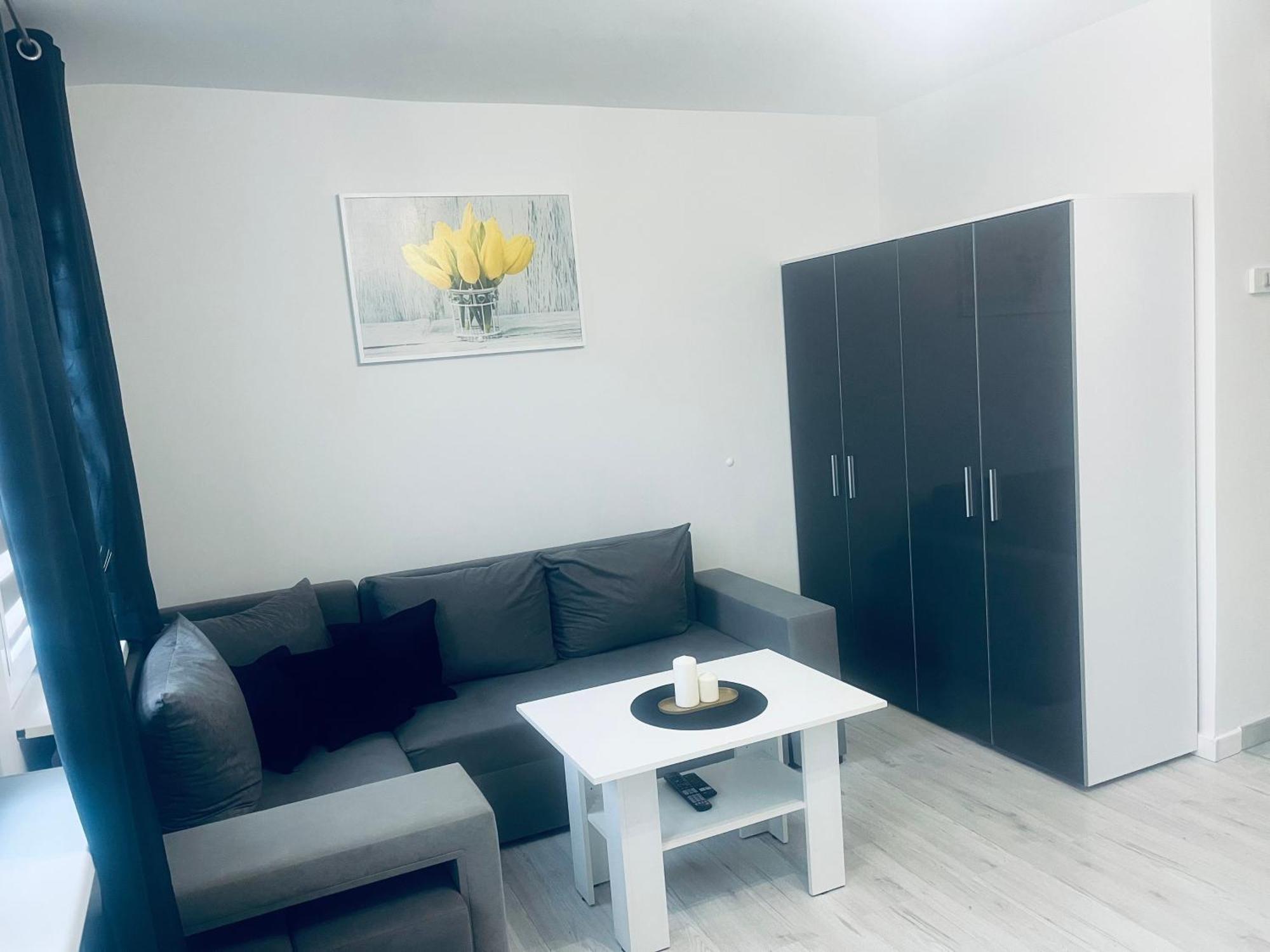 Silver Apartament Katowice Kültér fotó